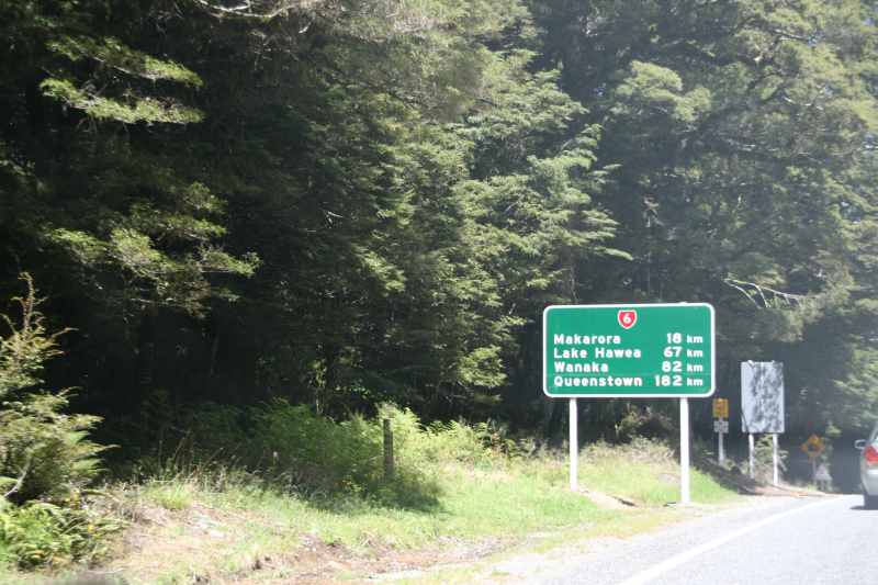 Nieuw-Zeeland 2011 - 1577